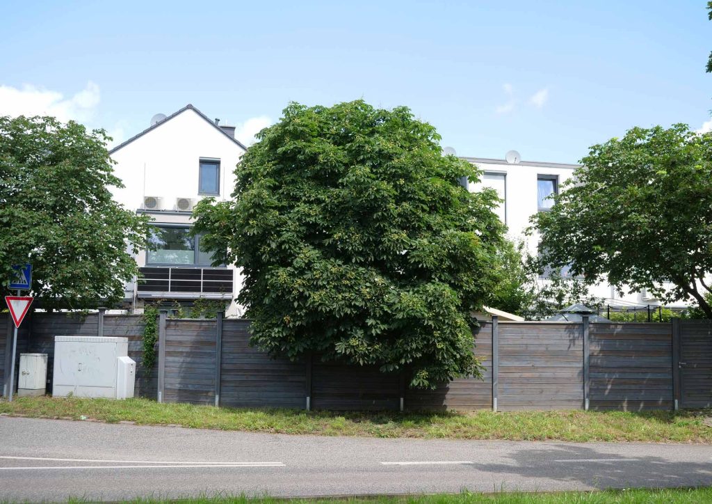 Bauprojekt Hochheim-Massenheim-52312 — Fa. Bonelli