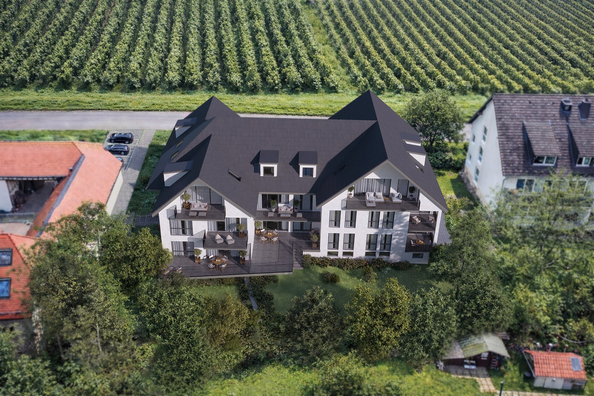 Mühl92 Walluf — Luftaufnahme mit Weinberg